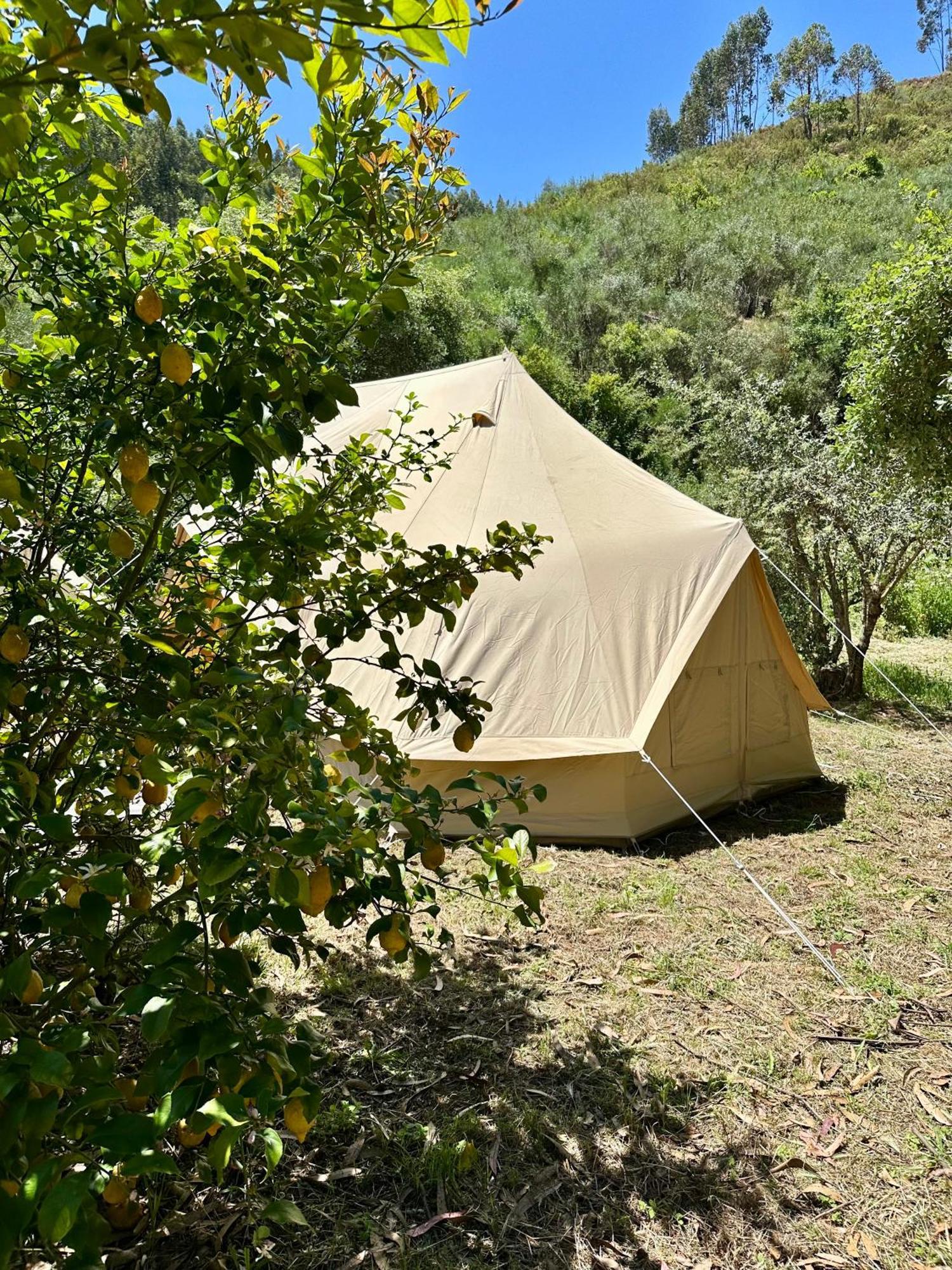 Giant Canvas Rental Tent Agro-Turismo Quinta Da Fonte Figueiró dos Vinhos Kültér fotó