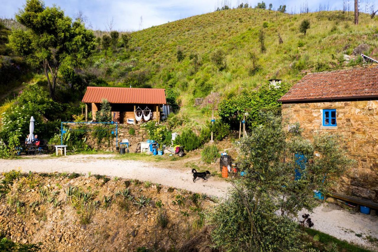 Giant Canvas Rental Tent Agro-Turismo Quinta Da Fonte Figueiró dos Vinhos Kültér fotó